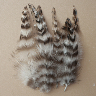 包邮芦花尖毛天然小羽毛野鸡毛diy饰品羽毛配件装饰逗猫棒材料