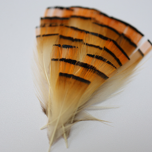 天然装饰羽毛锦鸡片 diy手工艺饰品配件羽毛头饰舞台服装野鸡毛