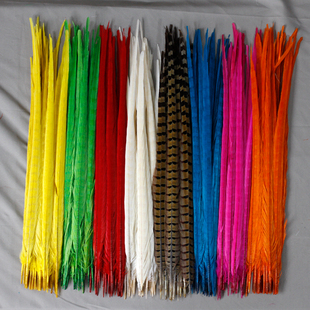 天然野山鸡毛 野鸡羽毛野鸡翎野鸡尾京戏翎子脱色彩色山鸡尾