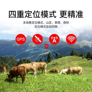 gps定位器山区放牧仪大型动物马防盗北斗卫星养牛羊追踪