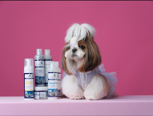 宠馨宝SmileyPe死海矿物泥SPA猫狗洗护沐浴乳浴液护毛素