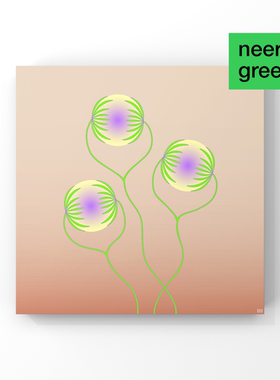 NEERG 某个星球的花 Layla Saito 艺术家插画油画布装饰画