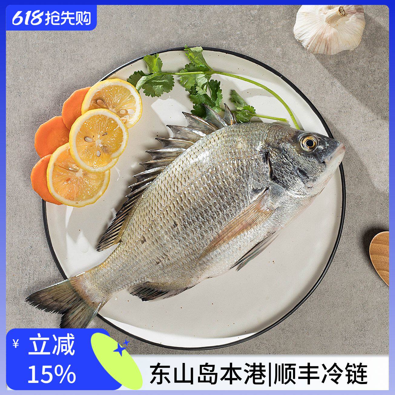 藻安生鲜东山岛本港海钓黑翅鱼活冻海鲜水产宝宝500g黑鲷鱼