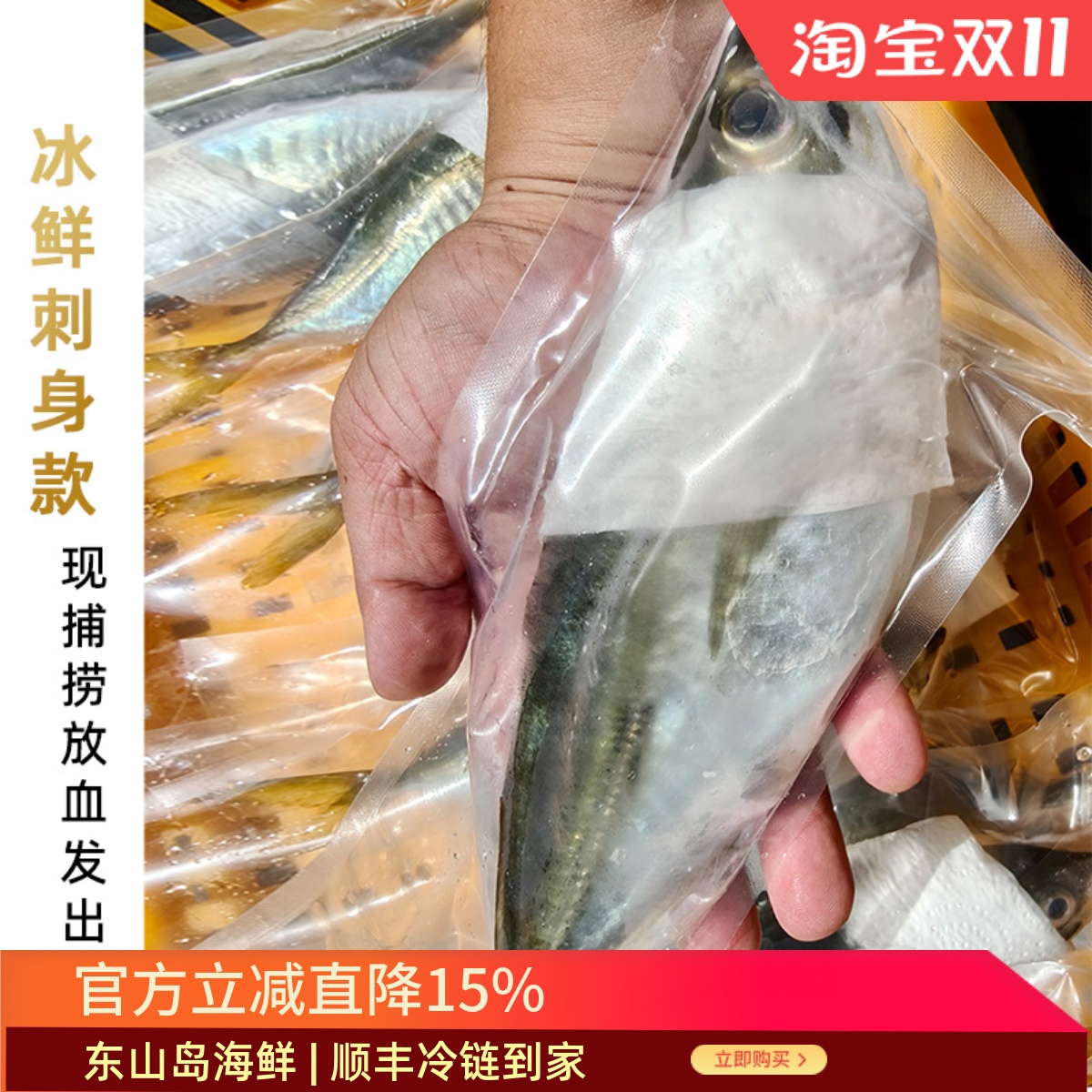 东山岛生态养殖巴浪鱼冰鲜刺身用