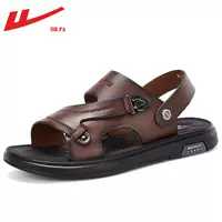 0991 Brown -cortical Mop