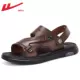 0991 Brown -cortical Mop