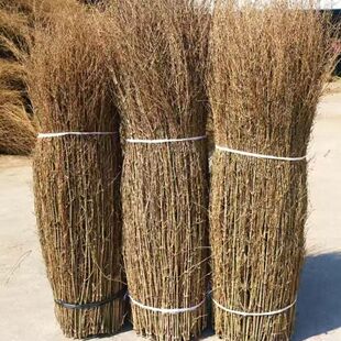 防腐碳化户外竹枝篱笆毛竹毛料枝丫庭院栅栏民宿装饰围栏屋顶装饰