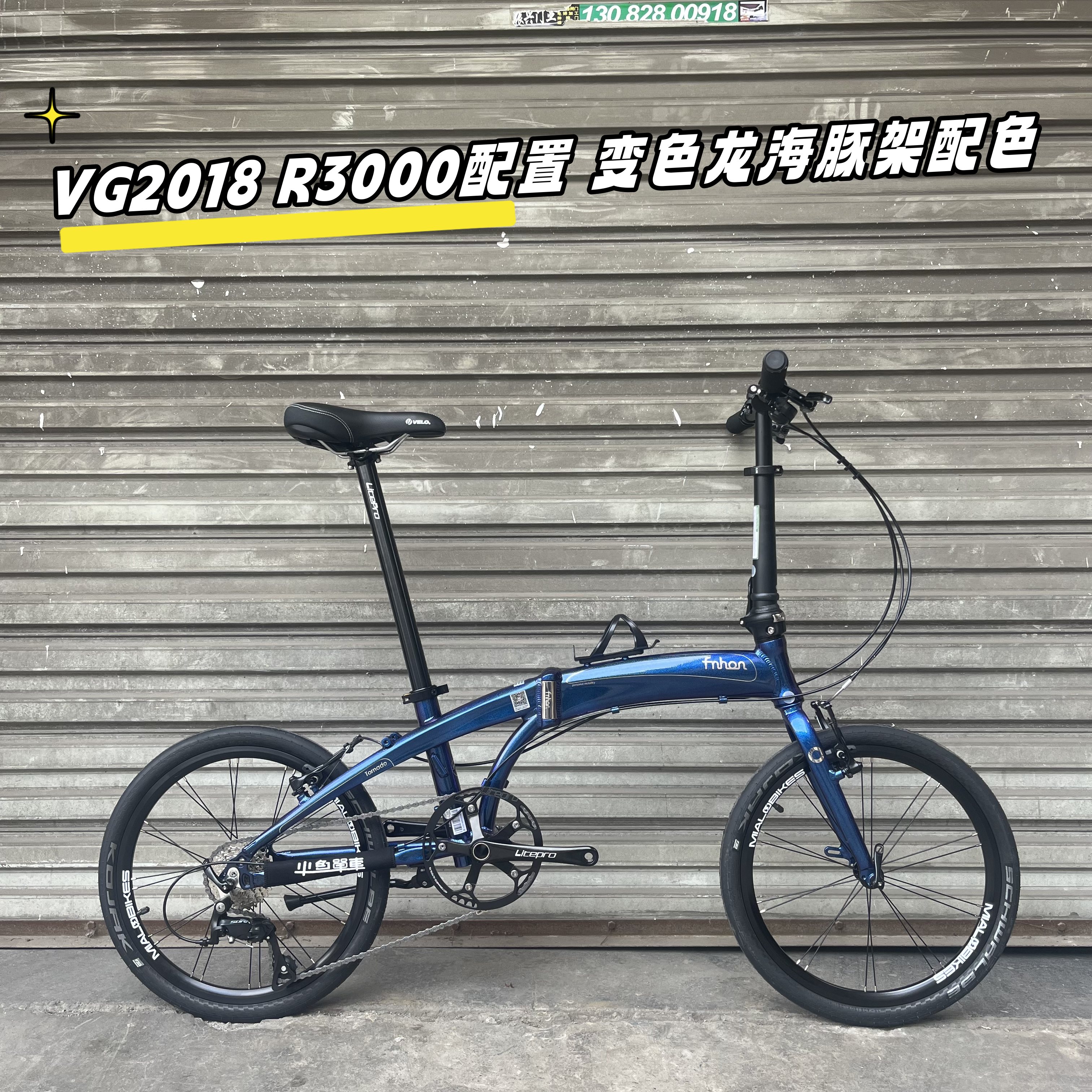 fnhon风行20寸铝合金海豚架VG2018V刹  DG2018碟刹折叠整车定制版 自行车/骑行装备/零配件 折叠自行车 原图主图