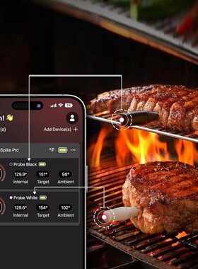 ThermoPro TempSpike Pro WiFi 蓝牙无线烤肉温度探针 型号：T980