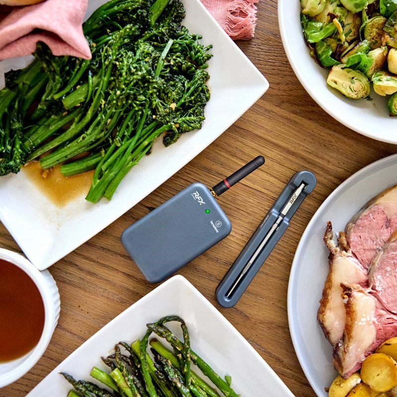 Thermoworks RFX 厨房烤肉煎肉用无线温度计 食物温度探针套装