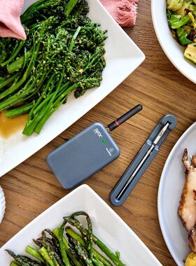 Thermoworks RFX 厨房烤肉煎肉用无线温度计 食物温度探针套装