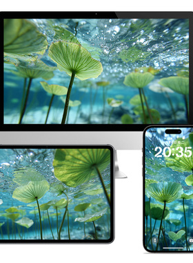 超现实唯美水下荷花清新护眼绿色手机电脑ipad壁纸高清图片098