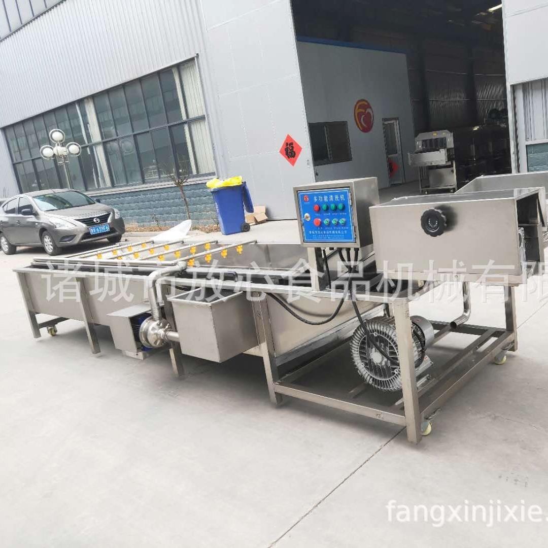 大蒜清洗机 全自动蔬菜清洗机 多功能商用果蔬清洗机厂家