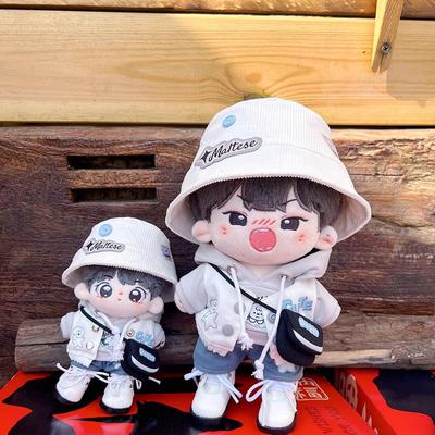 三种尺寸的海盐小狗娃衣套装现货