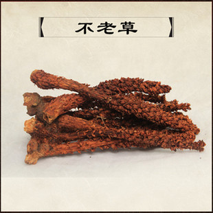 长白山野生不老草100g东北特产草苁蓉回春草泡酒料列当泡茶山苞米