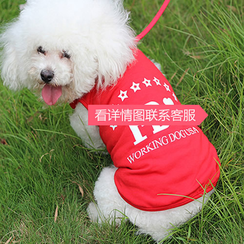 宠物衣服 宠物夏装 纯棉t恤 狗狗衣服猫狗春夏装 背心衣服