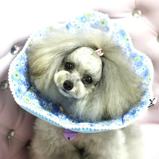彩色印花新款犬猫通用伊丽莎白圈 防护围脖 宠物头套