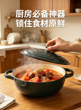 珐琅铸铁炖锅不挑灶通用