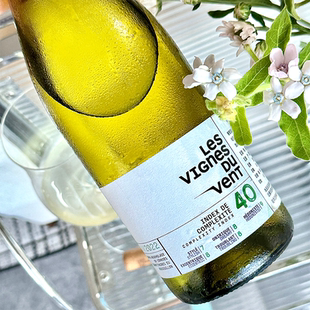 小苍兰柑橘凉风拂面！法南风谷佳丽LES VIGNESDUVENT40干白葡萄酒