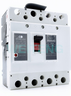 SECURELUCKY固安祥 GM5-250P Y1D 直流DC1000V空开250A光伏断路器