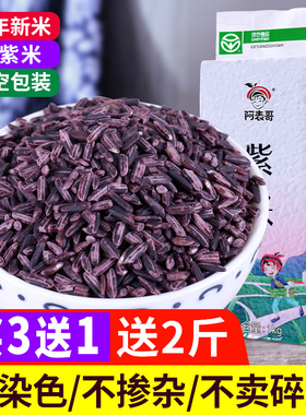 【绿色食品】2斤云南紫米新米墨江紫糯米低脂煮粥饭团紫米露材料