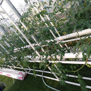 无土栽培设备家庭式 阳台种菜管道式 水耕自动浇灌水培种菜机花架