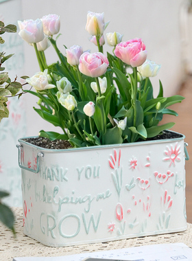 法式铁皮桶花盆阳台大口径双耳郁金香朱顶红球根组盆杂货收纳桶