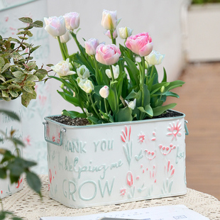 法式铁皮桶花盆阳台大口径双耳郁金香朱顶红球根组盆杂货收纳桶