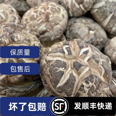 湖北随州香菇土特产精选大花菇