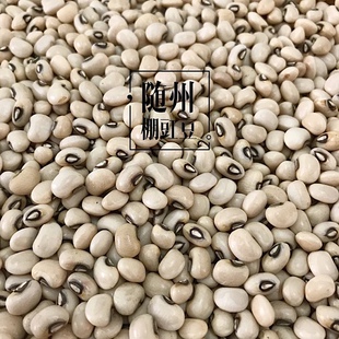 随州农家棚豇豆眉豆白豇豆五谷杂粮500克