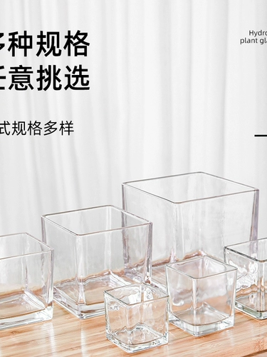 Простая гидропонная цветочная горшка ортопедическая стеклянная ваза Прозрачная зеленая укропа Гидравлическая растительная посуда, качели для черепах, цветочное расположение