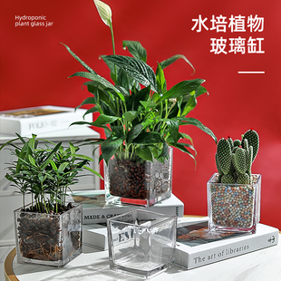 簡約水培花盆正方形玻璃花瓶透明綠蘿水養(yǎng)植物器皿烏龜缸擺件插花