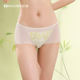 好波女透气内裤 衩HD2432 女性感裤 聚乳酸裆中腰三角裤 文胸配套小裤