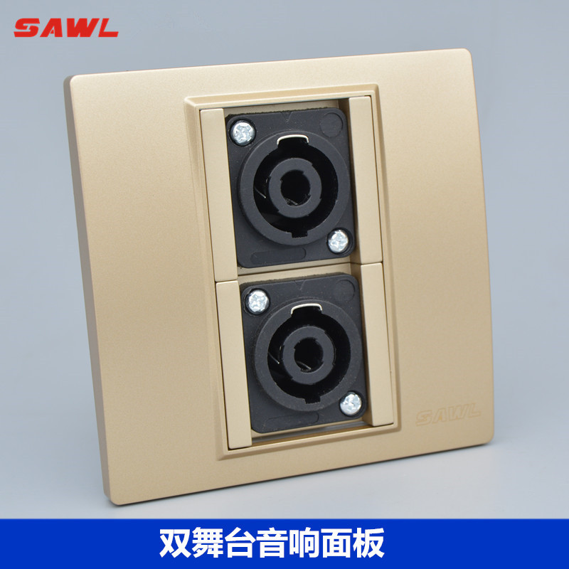 香槟色双口欧姆头舞台音响面板