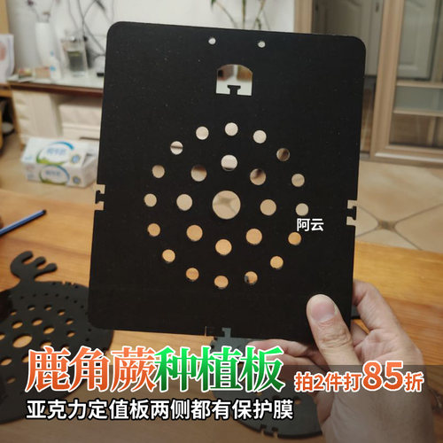 鹿角蕨板亚克力背板种植板