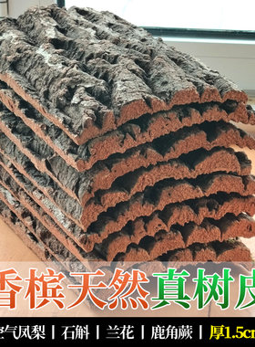 香槟软木真树皮鹿角蕨挂板定值板空气凤梨石斛兰花蝴蝶兰种植板