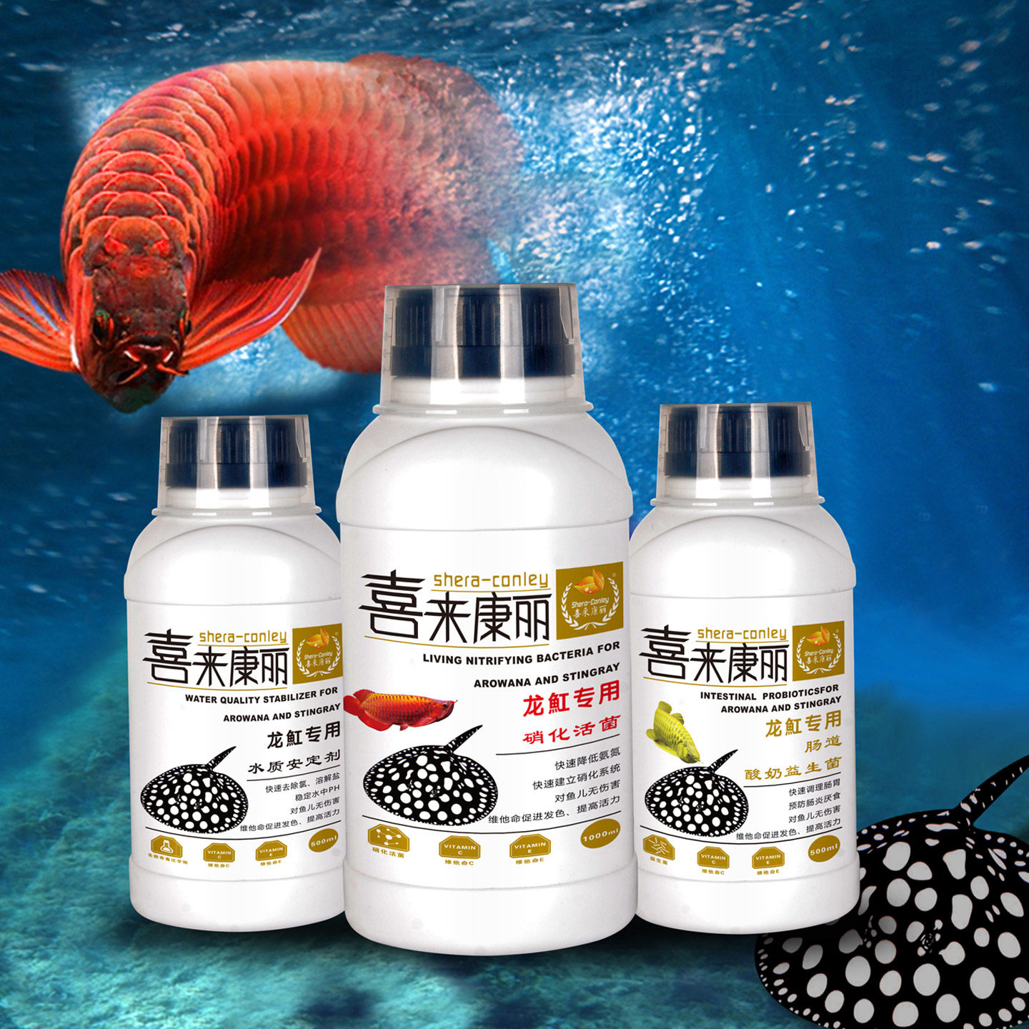 喜来康丽 龙魟鱼专用三剑客 肠道酸奶益生菌 硝化活菌 水质安定剂