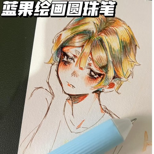 蓝果绘画多色手账圆珠笔高颜值书
