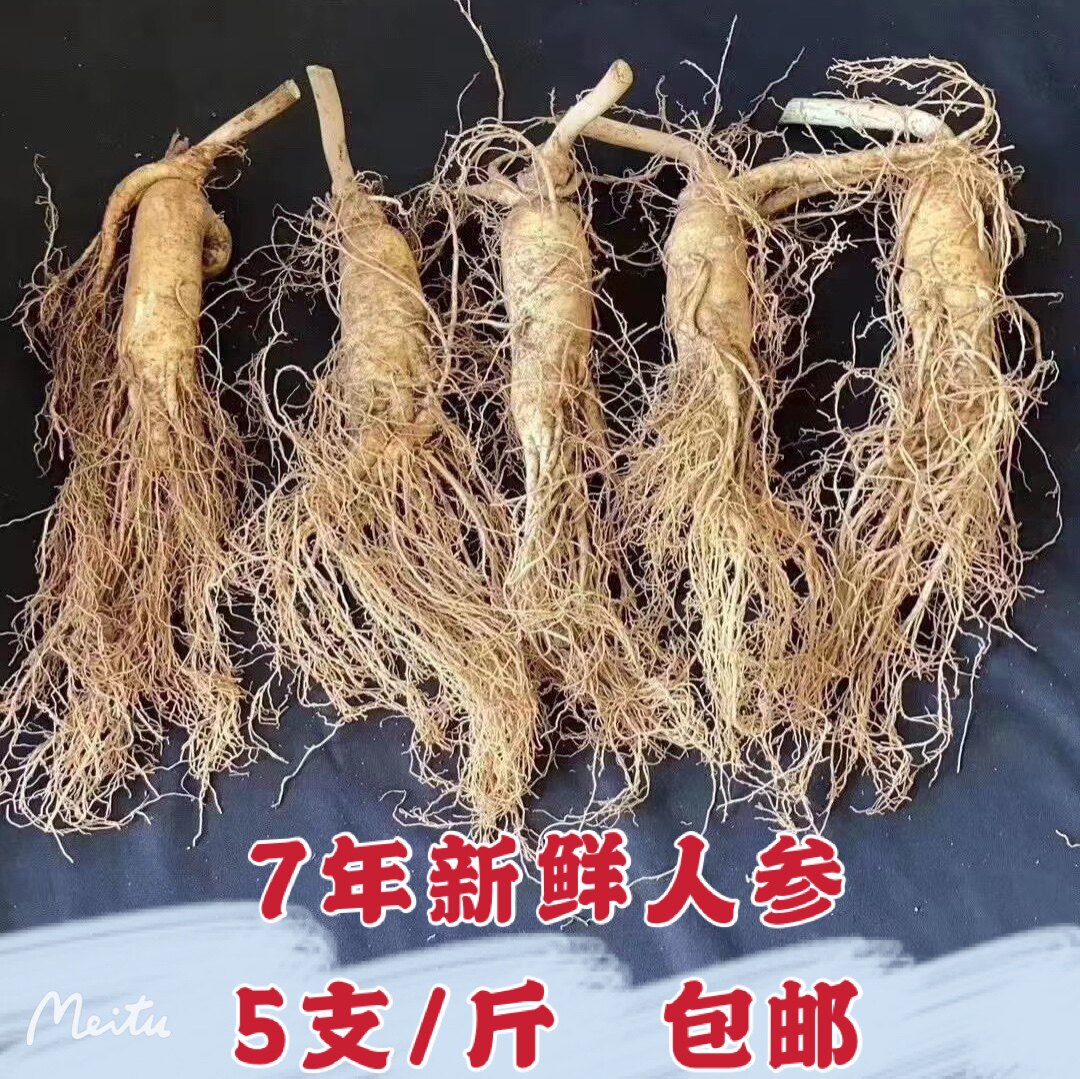 东北长白山新鲜人参500克g鲜人参带土泡酒包邮林下参野山参人叁