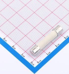 0314002.MXP 一次性保险丝 250V