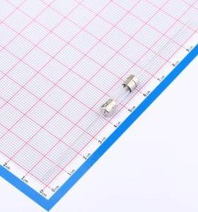 021906.3MXAEP 一次性保险丝 250V