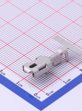 160831-3 - 冷压端子