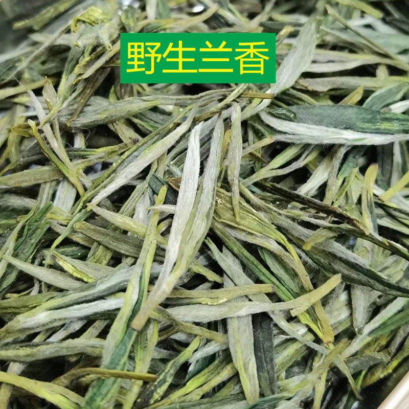 2026安徽名茶泾县兰香尖茶野生高山绿茶耐泡口粮茶春季新茶叶袋装