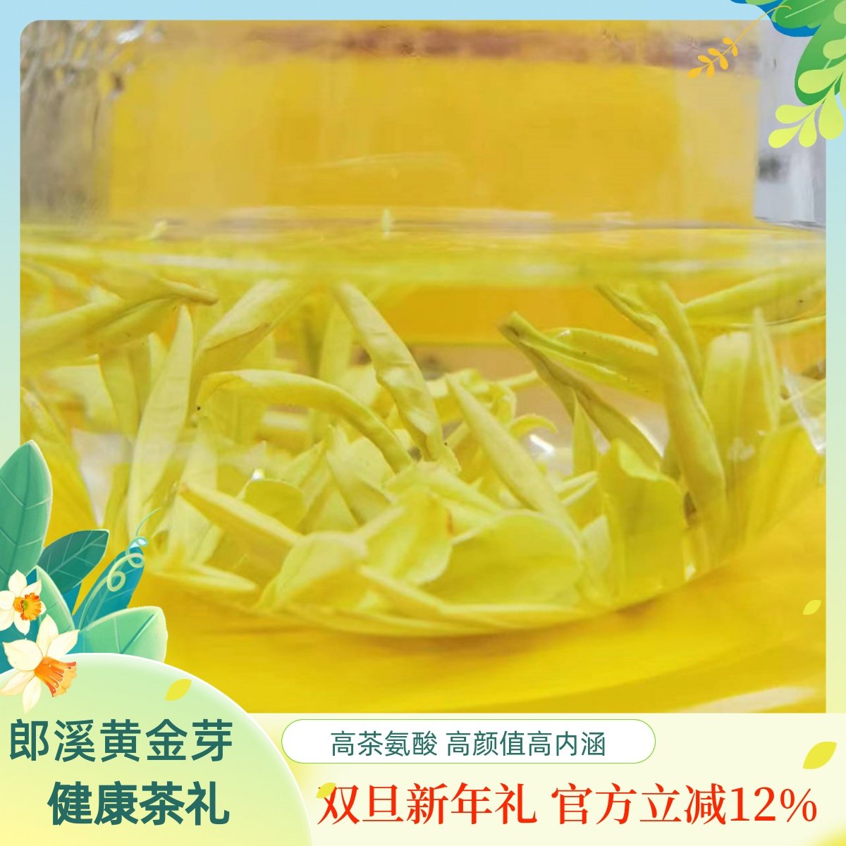 正品郎溪黄茶明前黄金芽嫩芽鲜爽