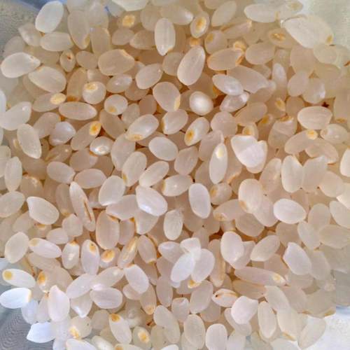 胚主丑米崇明岛胚芽米鸭稻米粥蟹田老种胚芽米低糖粳米W大米饭4