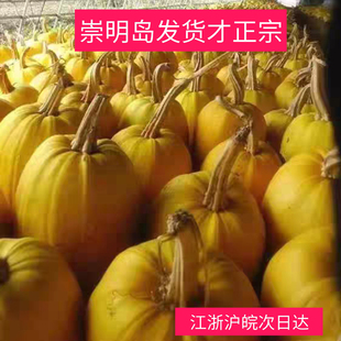 夏主崇明岛新鲜角瓜搅瓜绞瓜金丝瓜鱼翅黄金瓜金瓜茭凉拌京东快递
