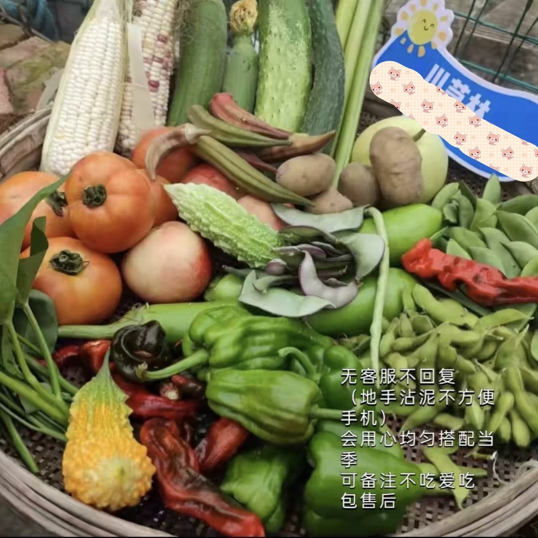 盲25主农家盲盒搭配露天混搭现摘蔬菜时令农家土菜套餐多仓发货,水产肉类/新鲜蔬果/熟食,其它,淘宝优惠券,粉丝福利购,淘宝优惠卷