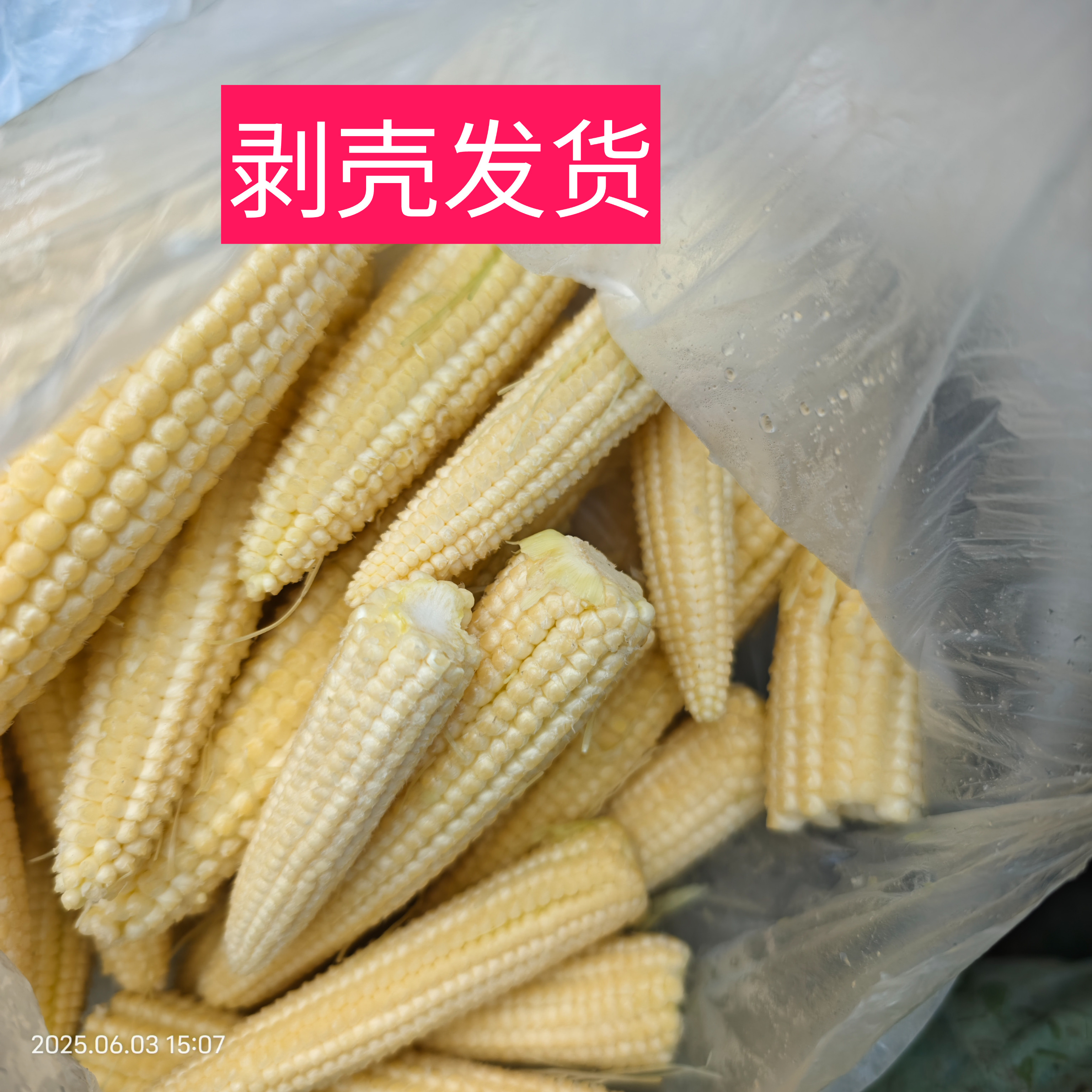 夏农家剥干净自种露天玉米棒子玉米笋玉米水果甜玉米棒粟米芯米笋