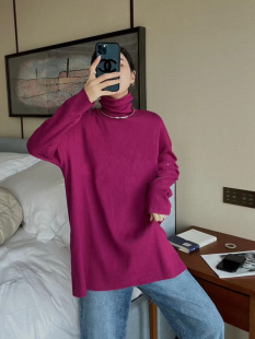 女秋冬叠穿内搭长袖 熙6160高领打底衫 T恤黑色堆堆领上衣 XI元 YUAN