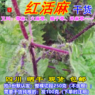 红活麻根红荨麻包邮红火麻中药材